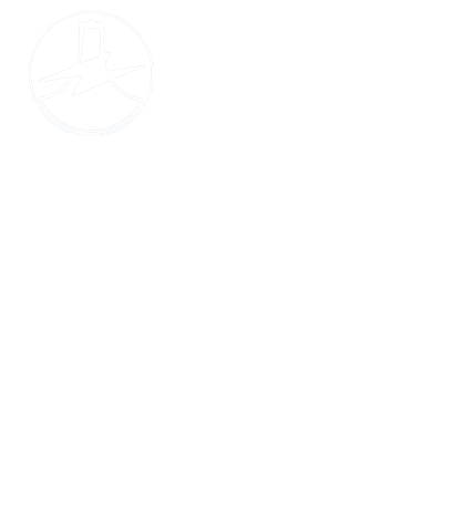 FUJI ELECTRIC WIRE